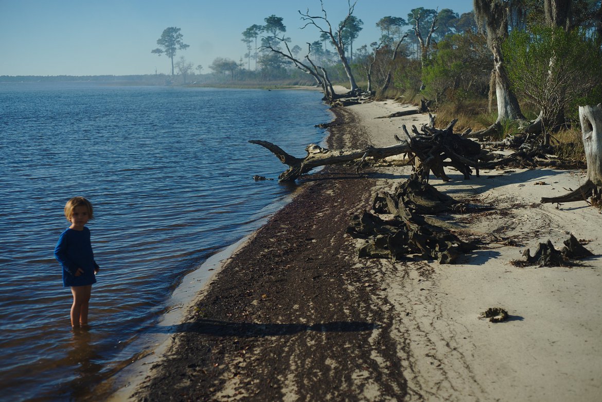 Escambia bay, controlled burn. photographed by luxagraf