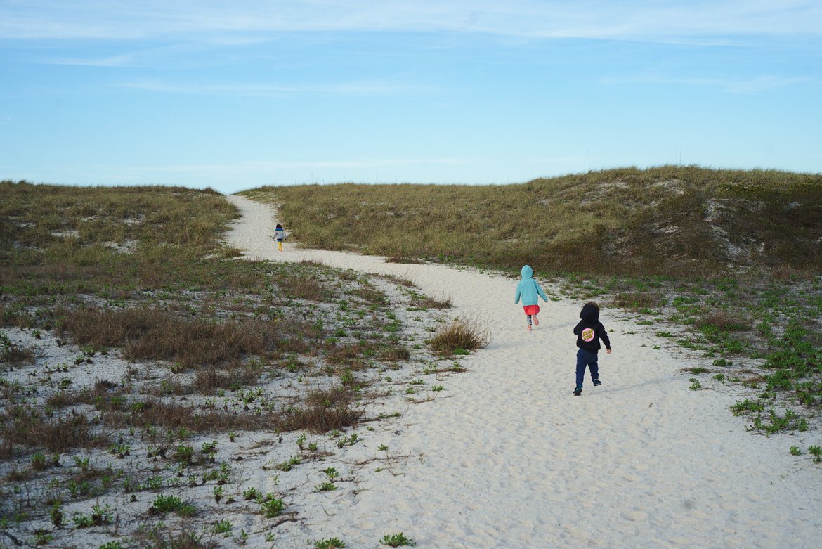 Gulf Islands National Seashore photographed by luxagraf