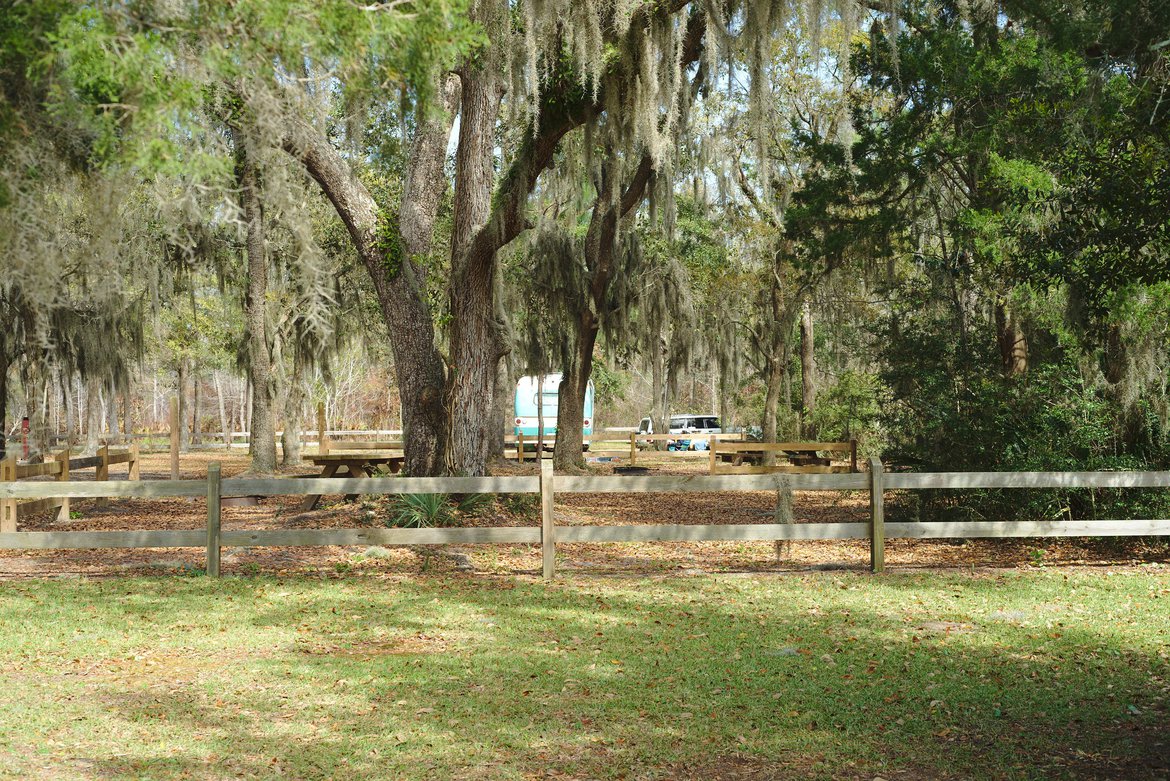 playing east bay, pensacola, FL photographed by luxagraf