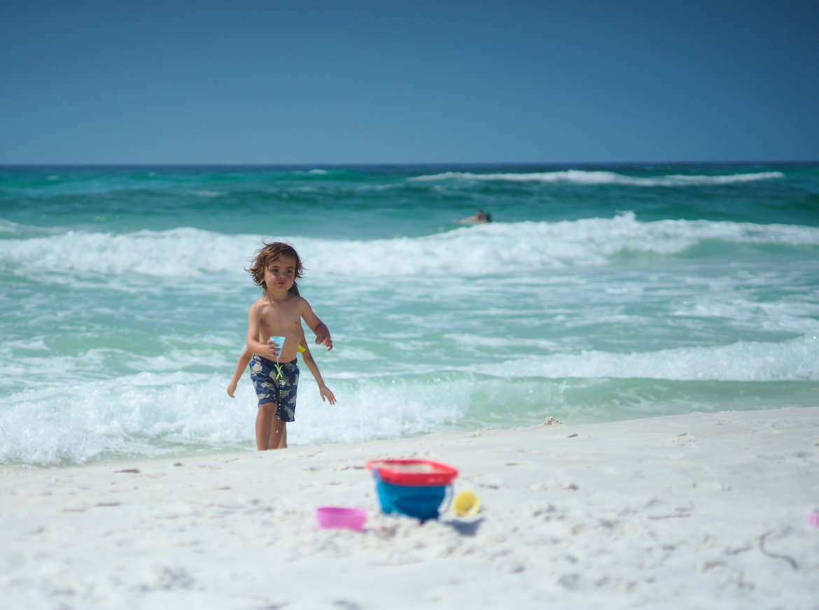 grayton beach state park, florida photographed by luxagraf