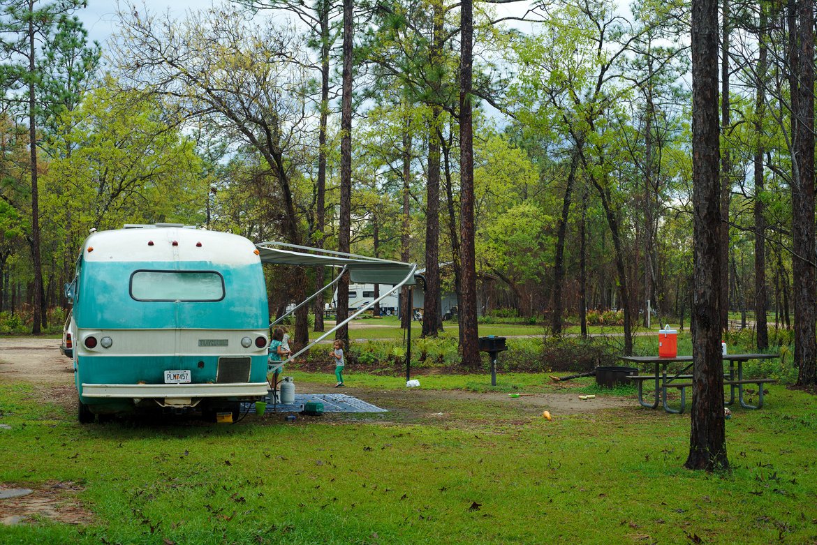 Camel Lake, Apalachicola National Forest photographed by Scott Gilbertson