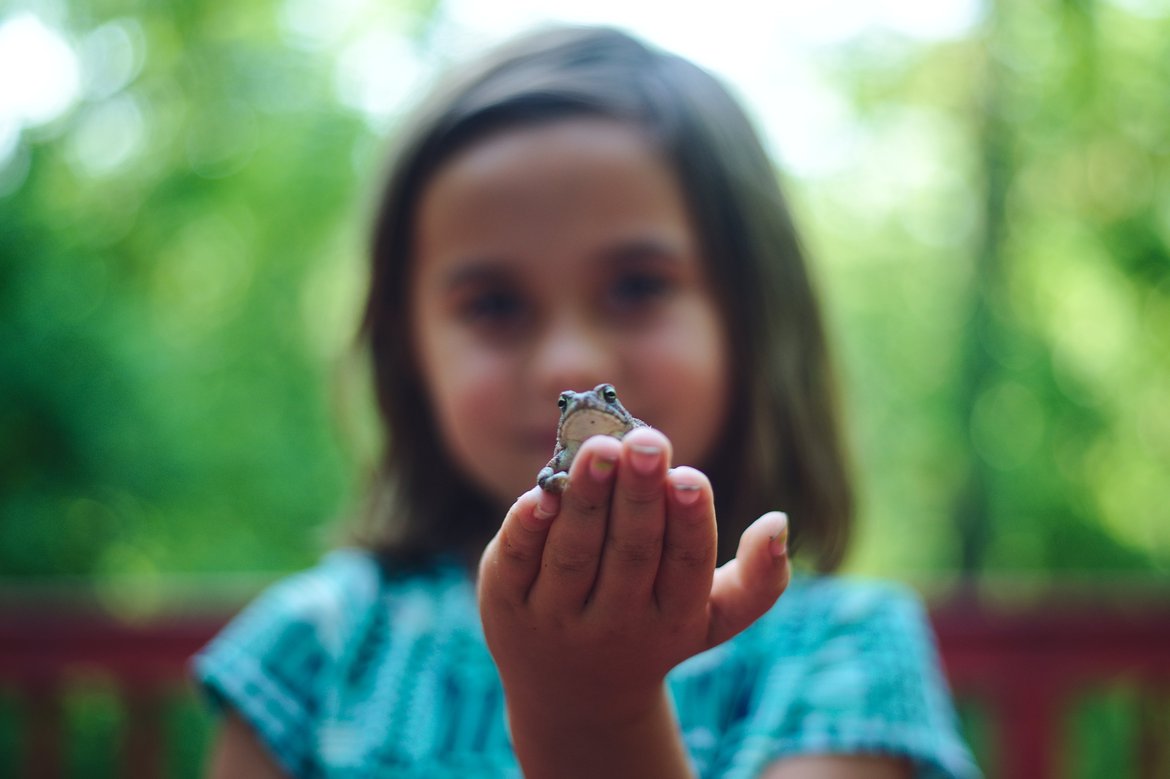 Frog, Athens, GA photographed by luxagraf