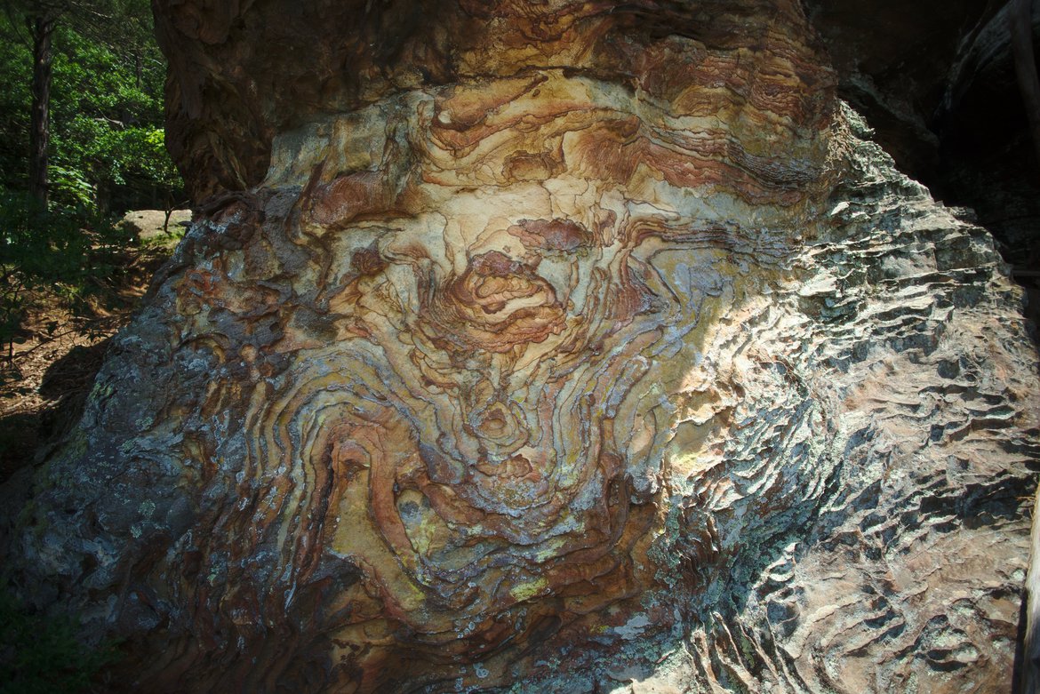 Garden of the Gods, IL photographed by Scott Gilbertson