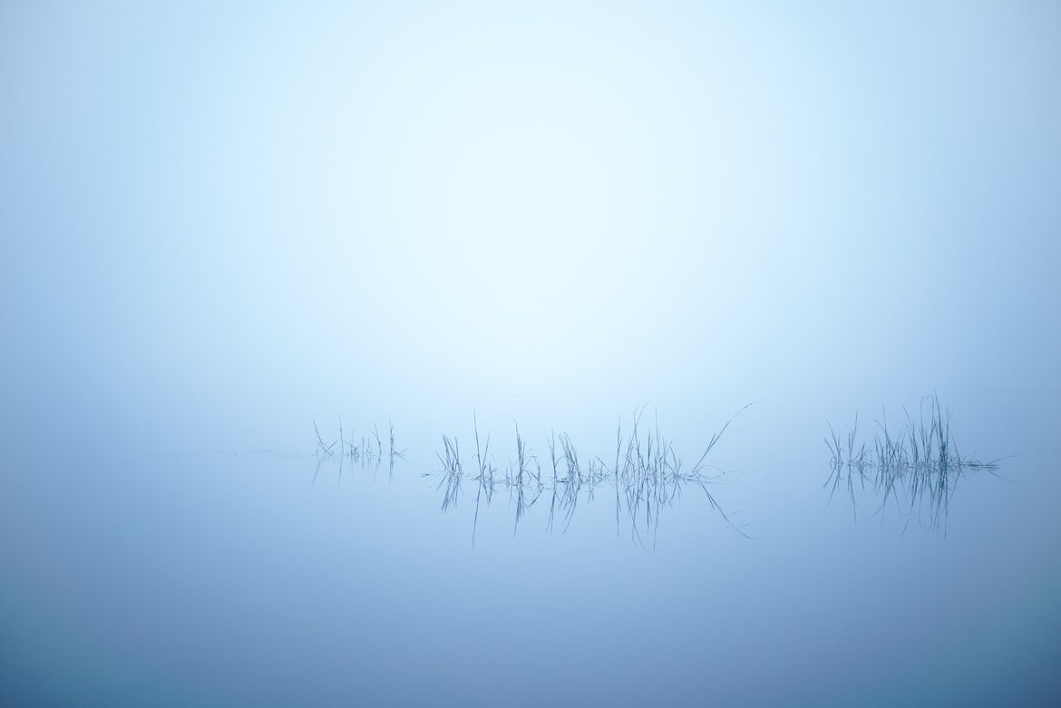 fog, Andrus Lake, MI photographed by luxagraf