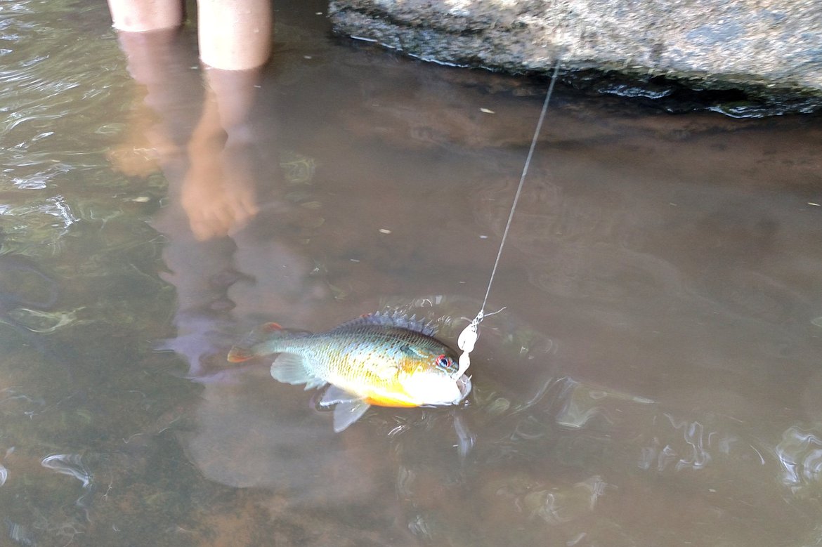 Catching fish, Athens, GA photographed by luxagraf