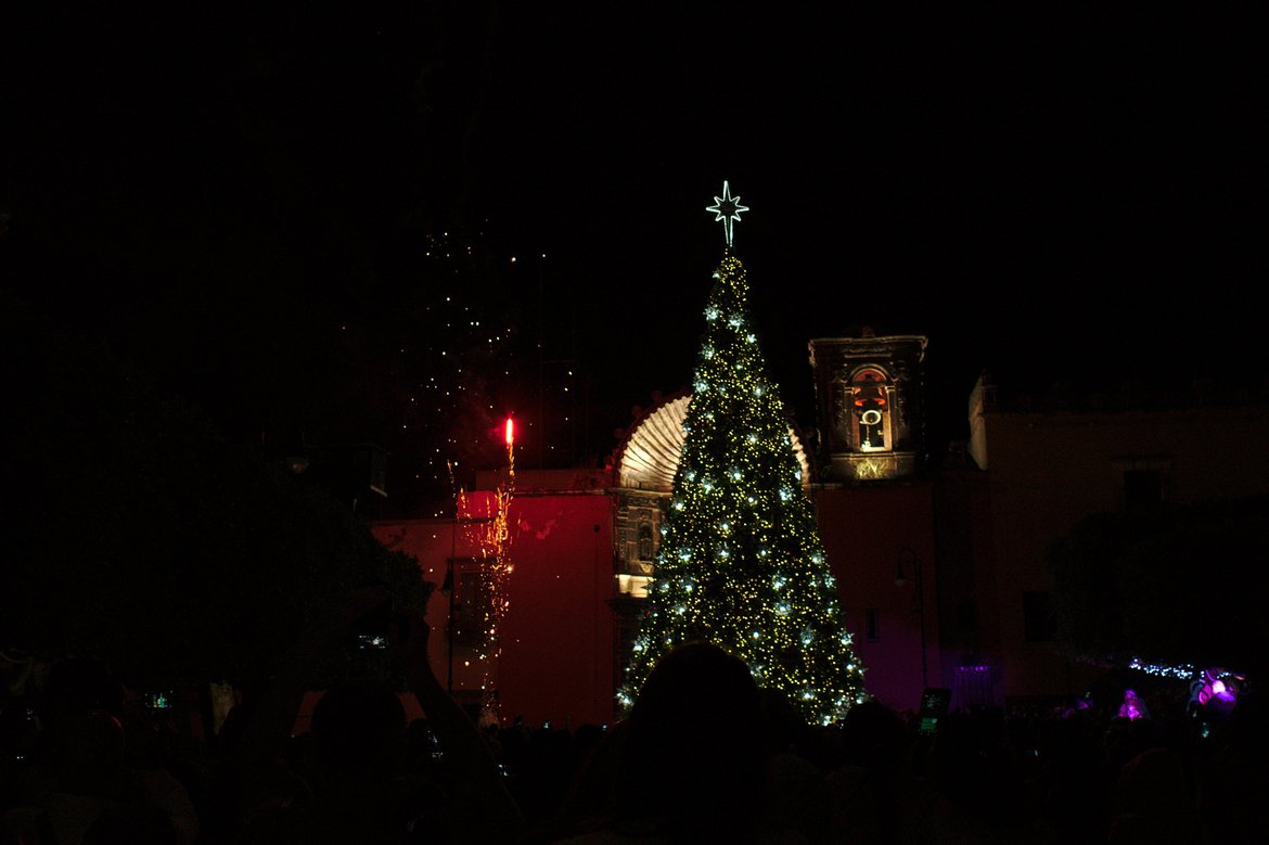 lighting the tree, san miguel de allende, mx photographed by luxagraf