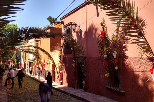 palm fronds on the street, palm sunday, san miguel de allende photographed by luxagraf