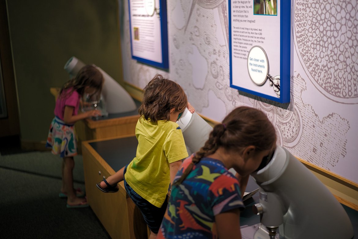 Kids using microscopes Natural History Museum, Jackson, MS photographed by luxagraf