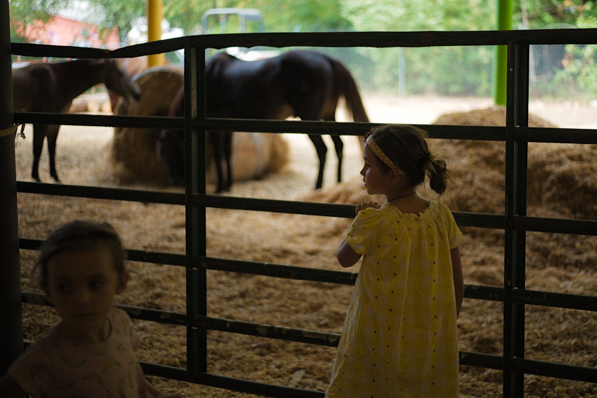 girl with horses, elberton county fair photographed by luxagraf