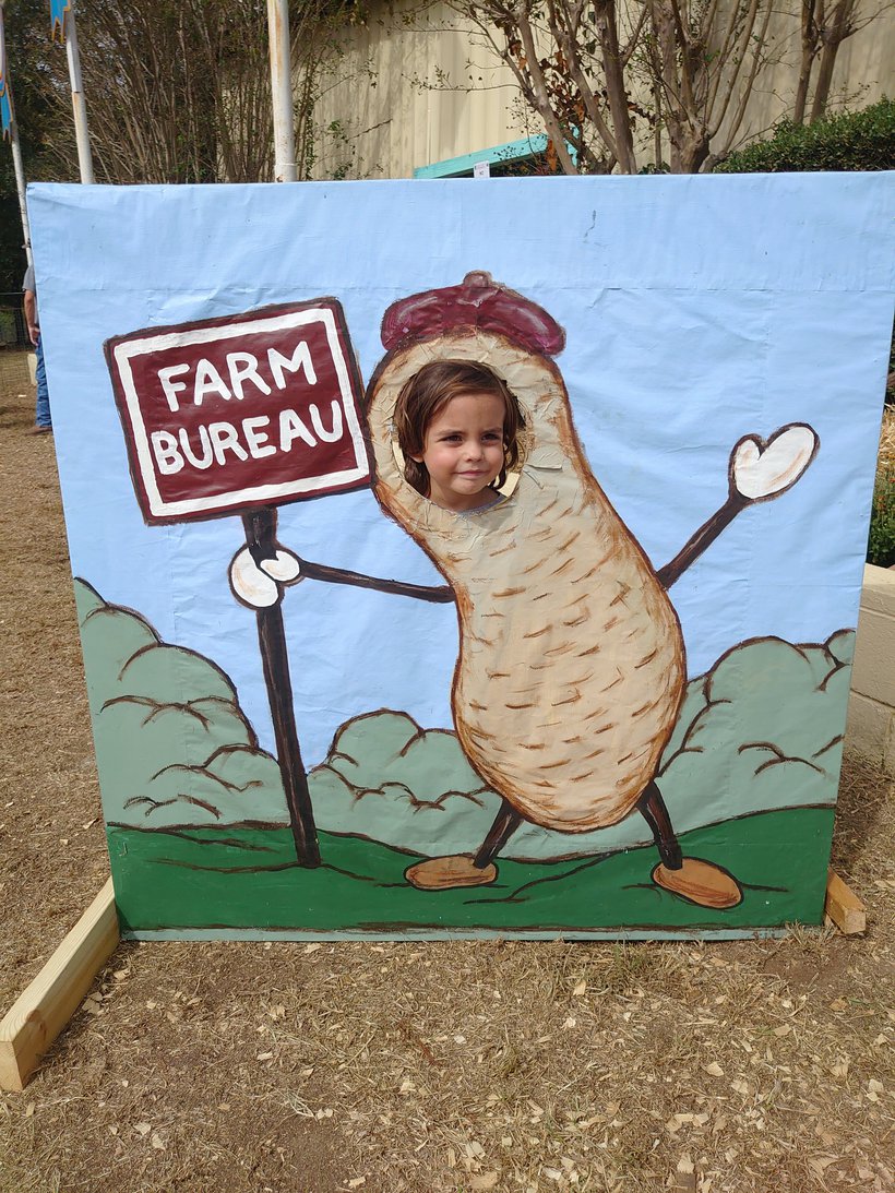 farm bureau peanut sign at the fair photographed by luxagraf