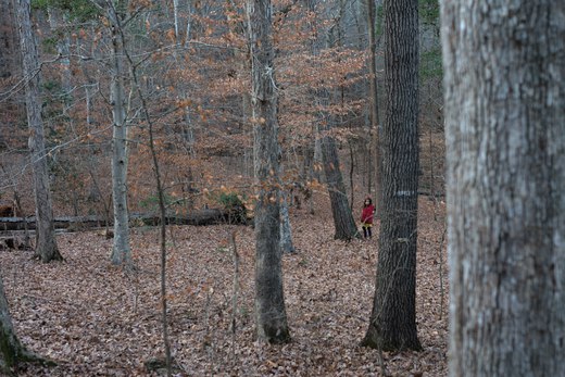 girl in a red coat, small figure lost in forest photographed by luxagraf