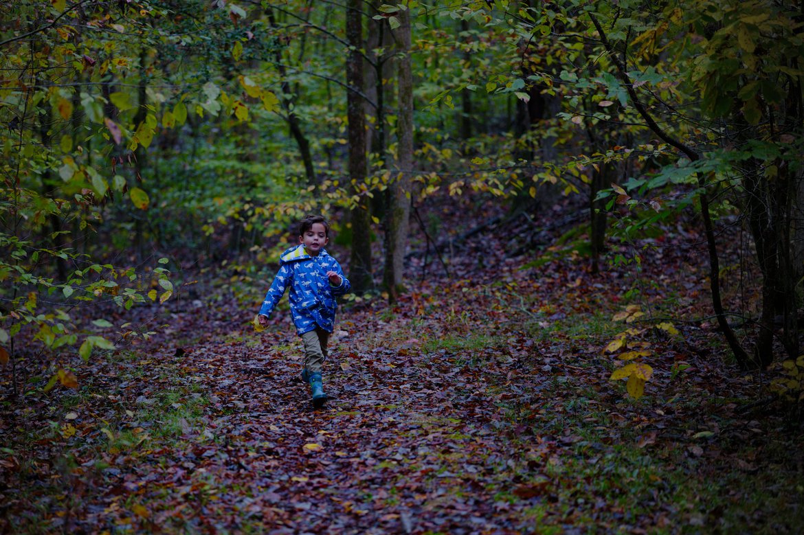 boy walking in the woods, watson mill state park, ga photographed by luxagraf