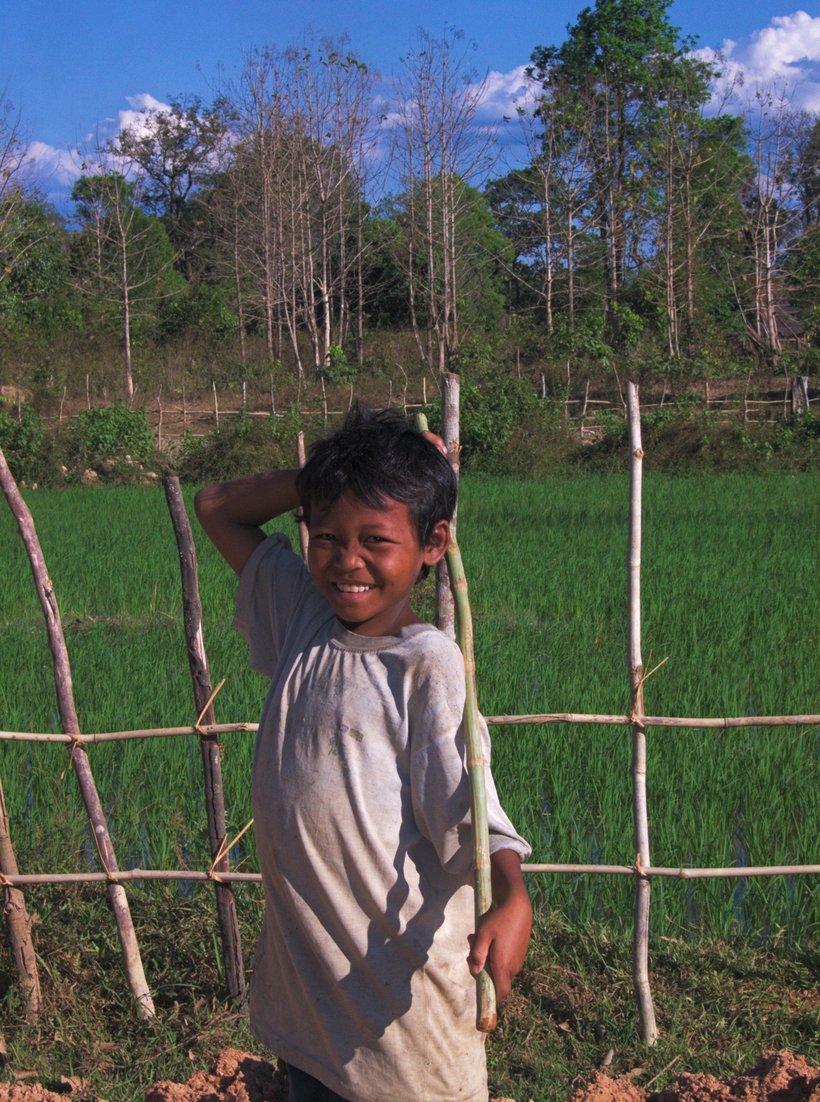 little boy by the side of a rice field, Laos photographed by luxagraf