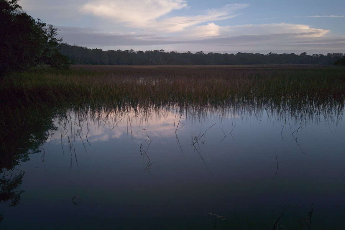 marsh at dawn, edisto, SC photographed by luxagraf