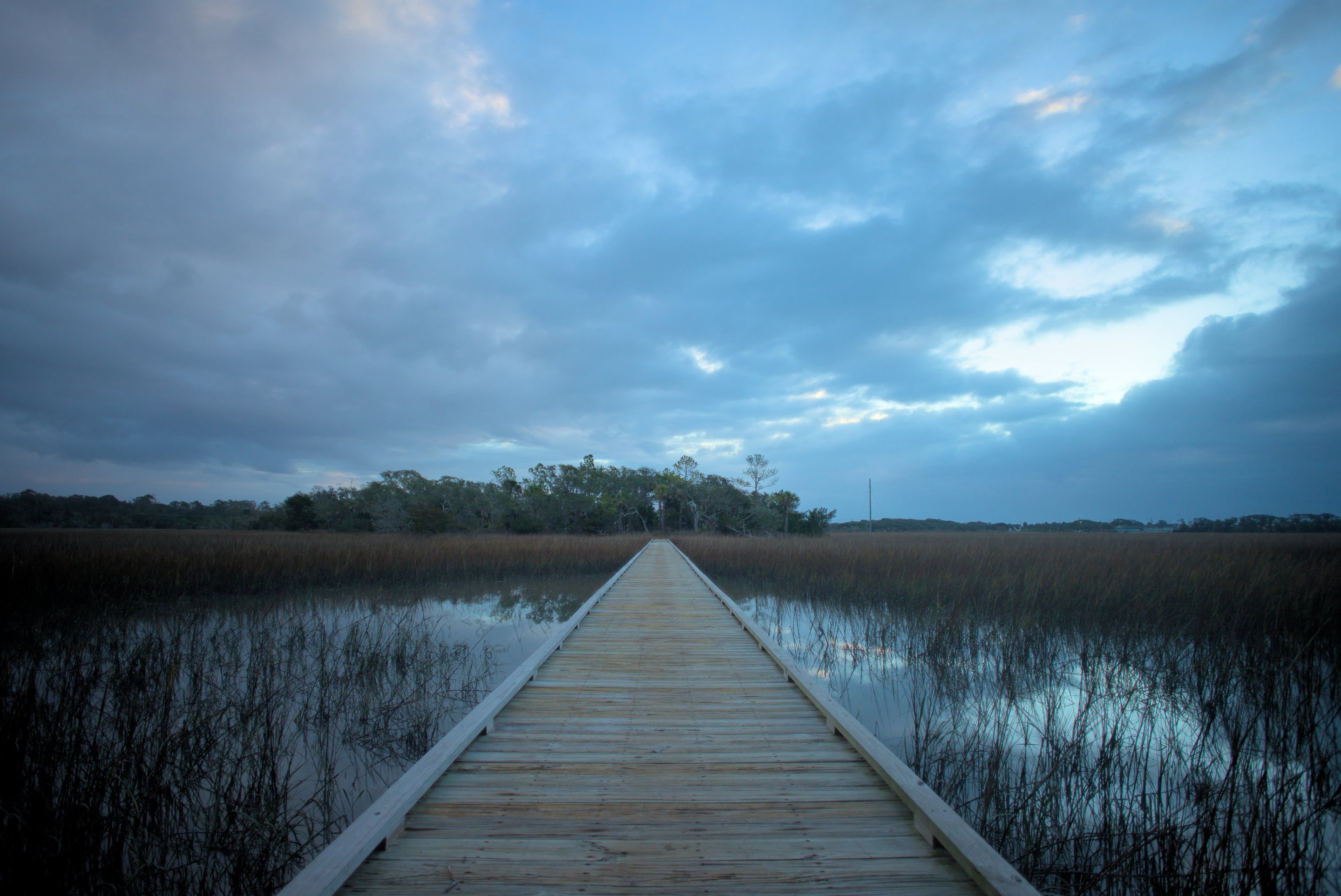 Boardwalk trail, edisto marsh photographed by luxagraf