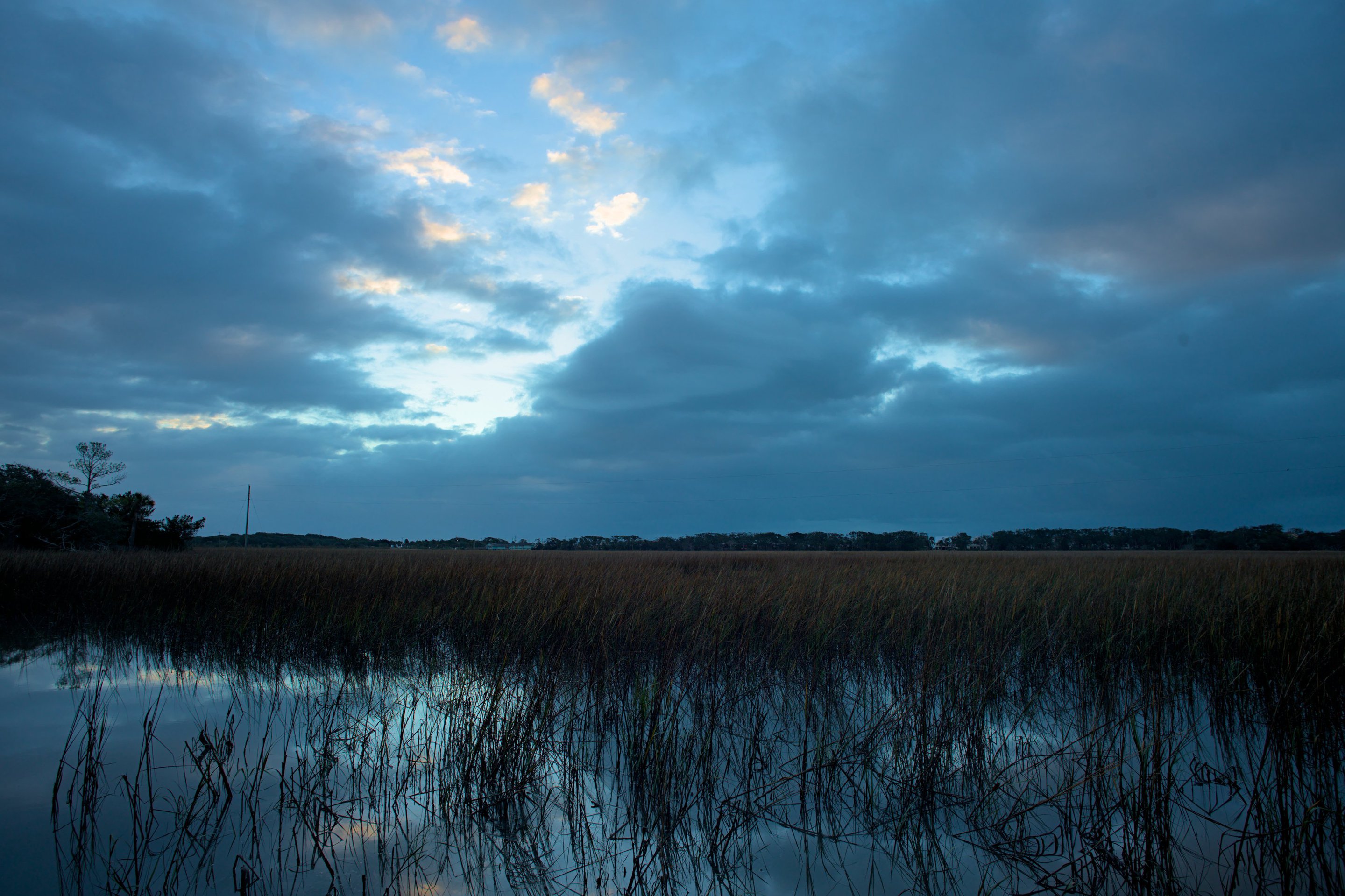 Edisto marsh at dawn photographed by luxagraf