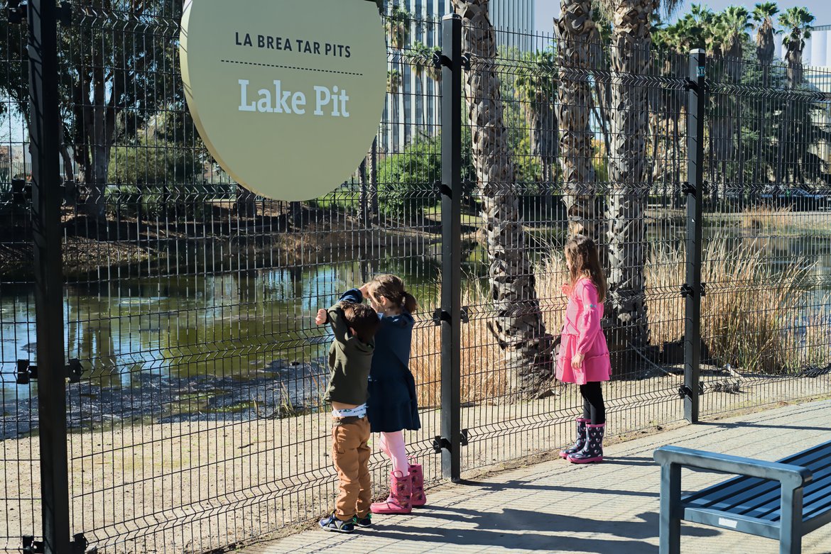 at the la brea tar pits photographed by luxagraf