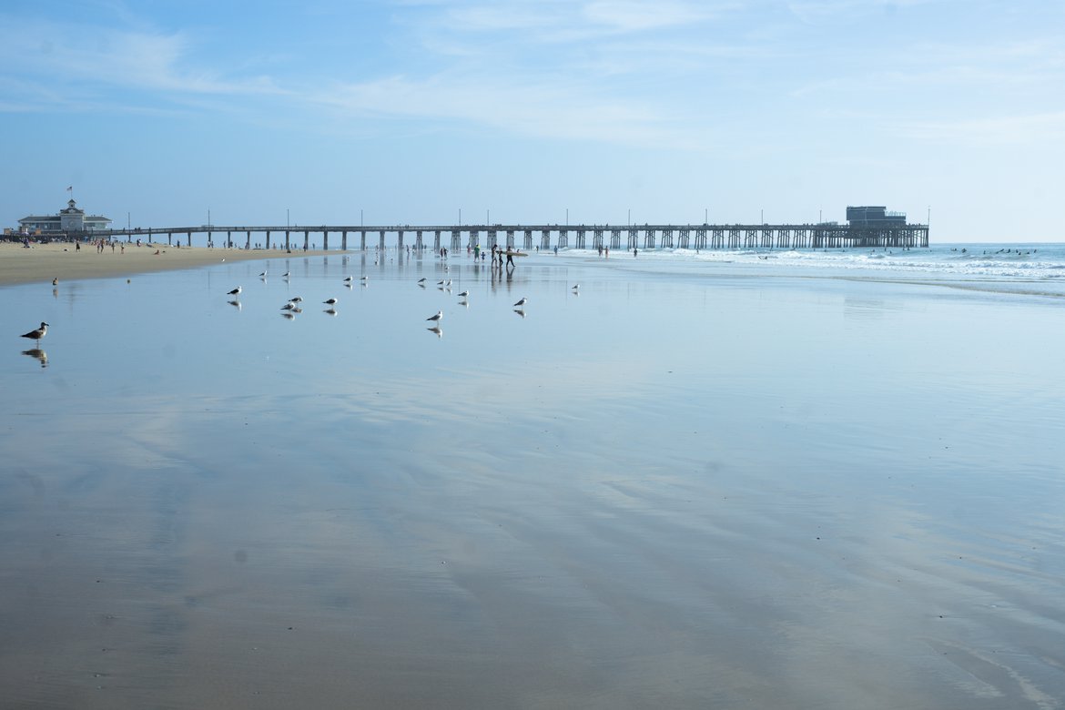 seagulls, newport pier, newport beach, ca photographed by Scott Gilbertson
