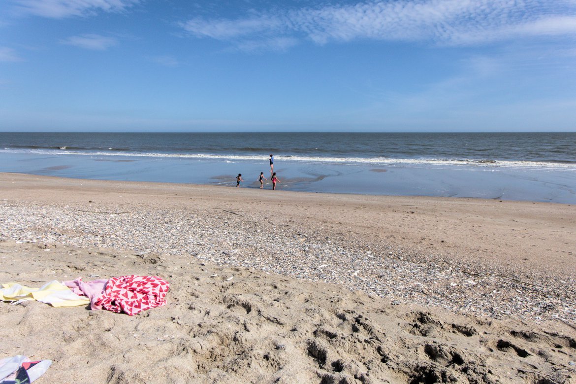 kids walking the beach, edisto state park, sc photographed by luxagraf