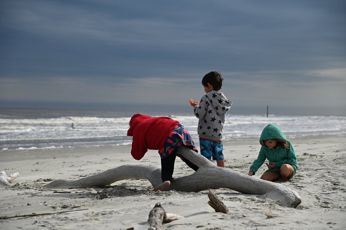kids playing on driftwood, hunting island state park photographed by luxagraf