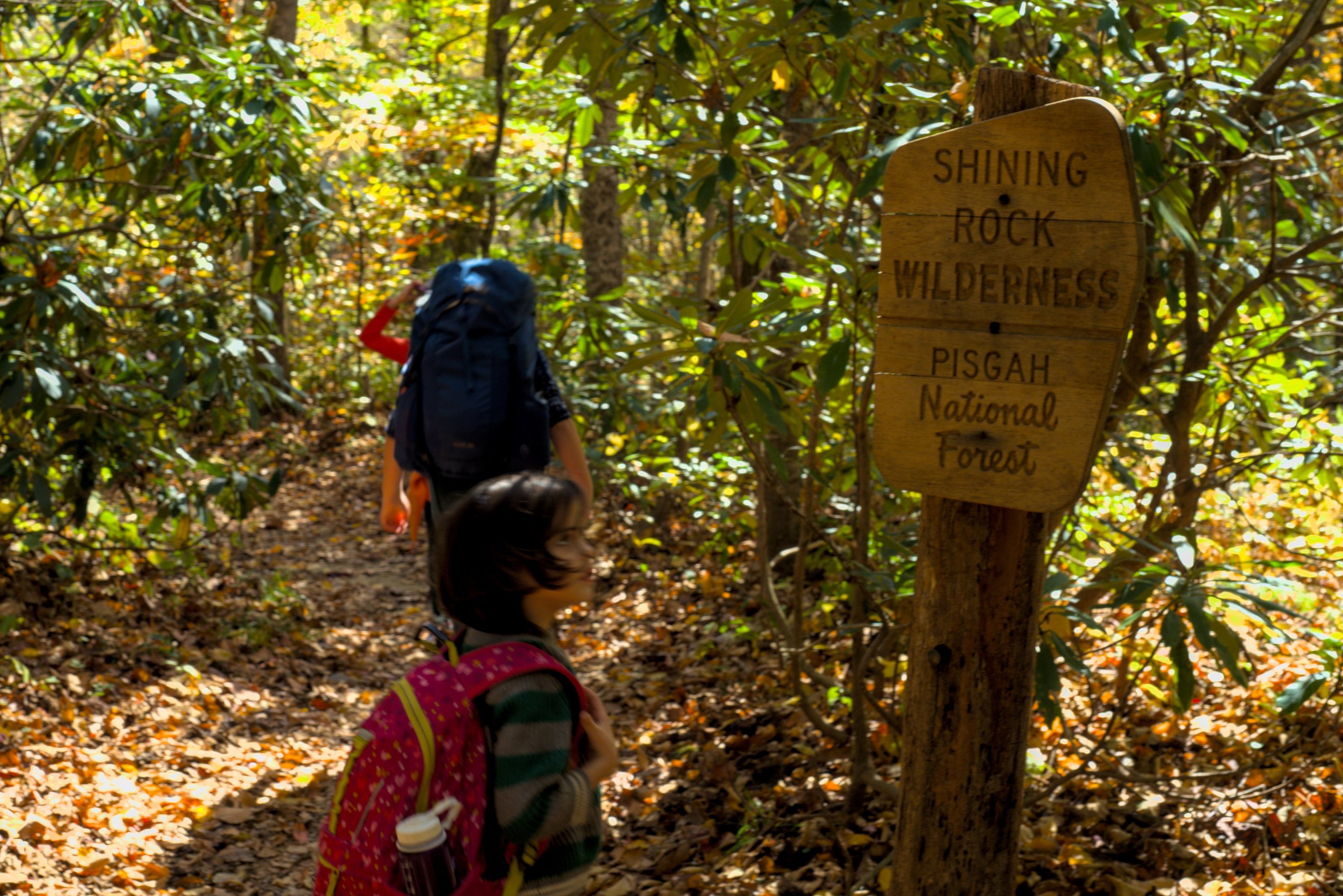 Shining Rock Wilderness sign photographed by luxagraf