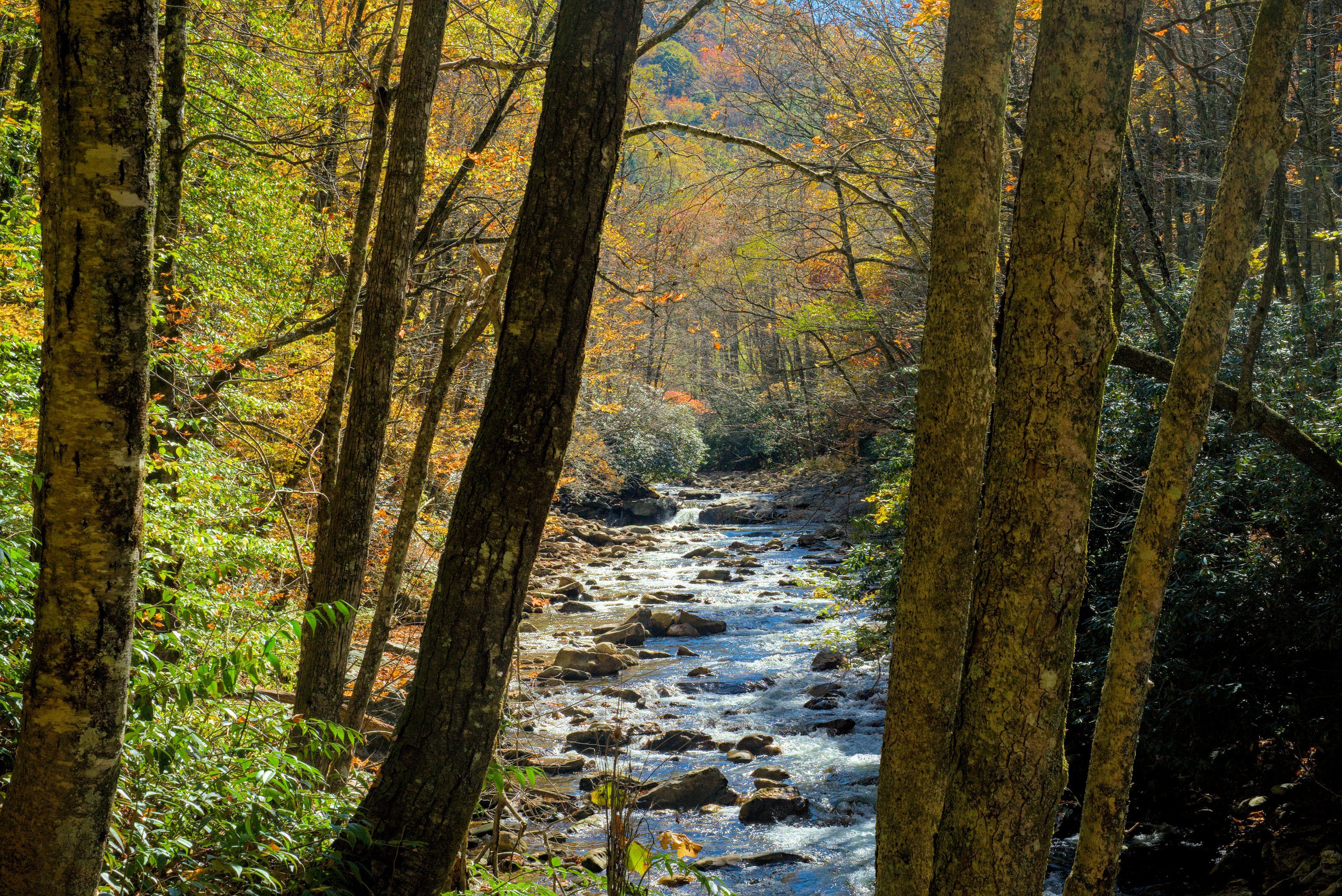 Big East Fork river photographed by luxagraf