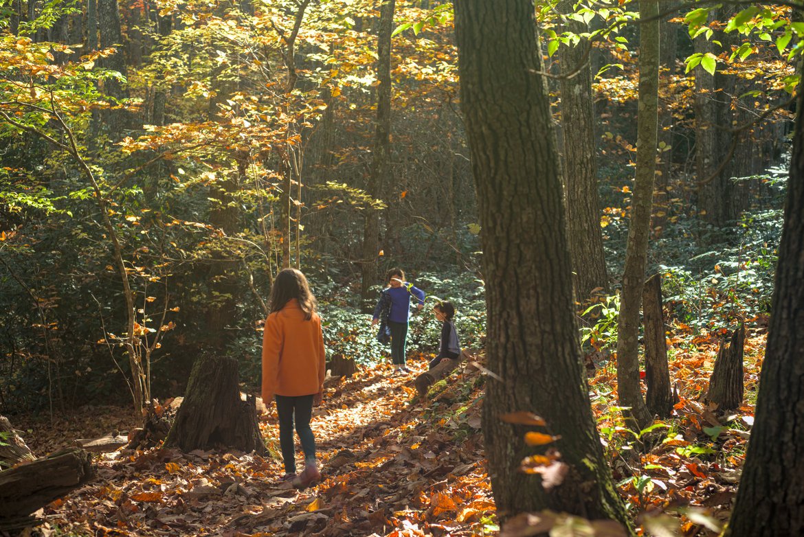 golden light hiking in the forest photographed by Scott Gilbertson