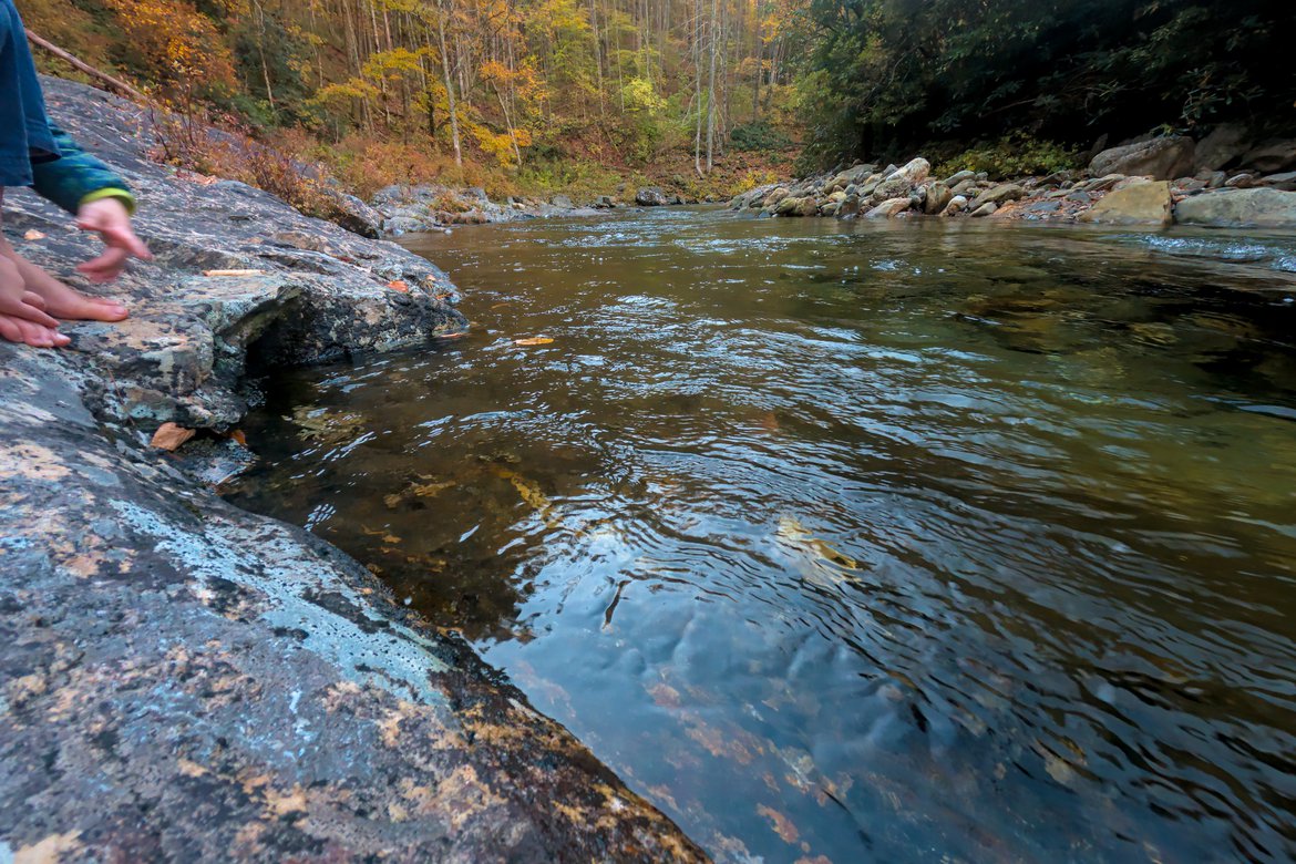 launching leaf boats in the river photographed by Scott Gilbertson