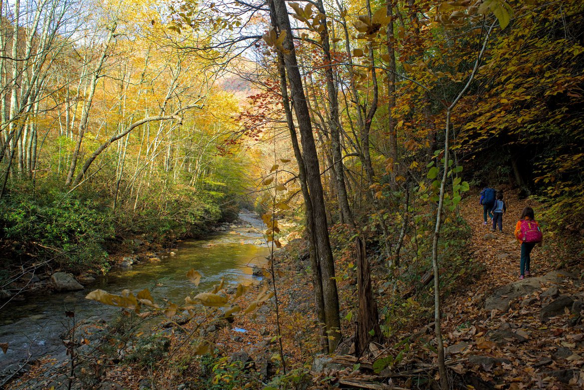hiking along the river photographed by Scott Gilbertson