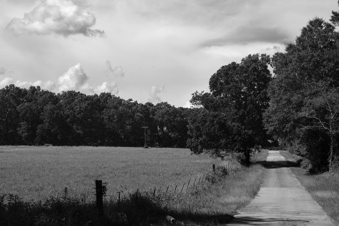 clouds, trees, country road photographed by luxagraf