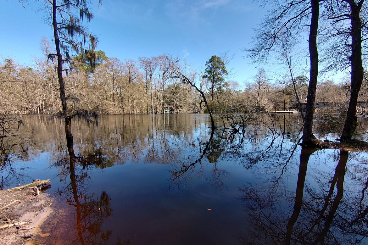 edisto river in flood. photographed by luxagraf
