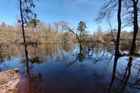 edisto river in flood.