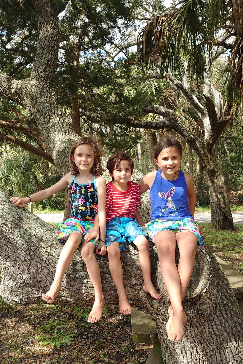 kids sitting in an oak tree photographed by luxagraf
