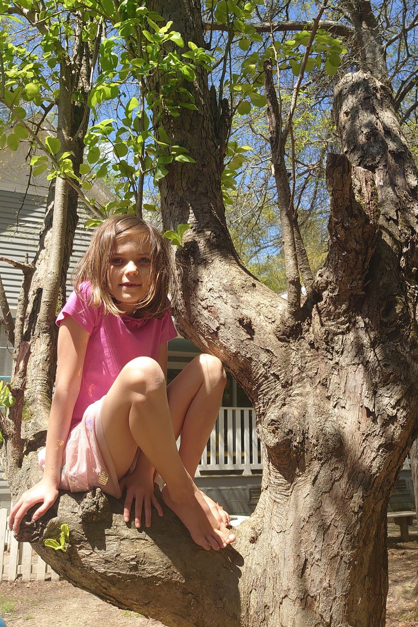 girl climbing tree photographed by luxagraf