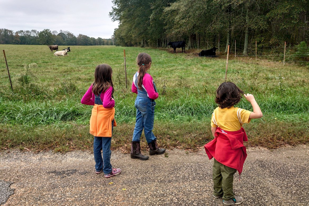 kids watching the cows by Scott Gilbertson