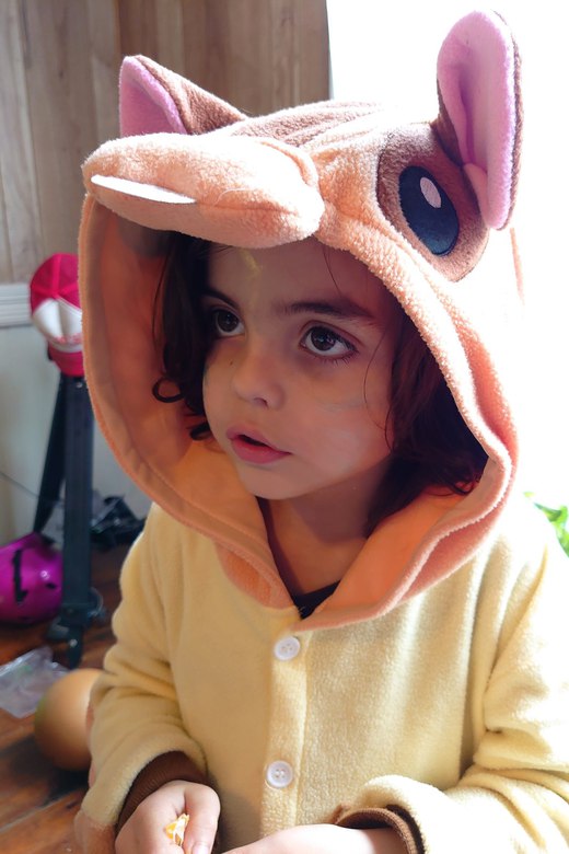 halloween flying squirrel costume photographed by Scott Gilbertson