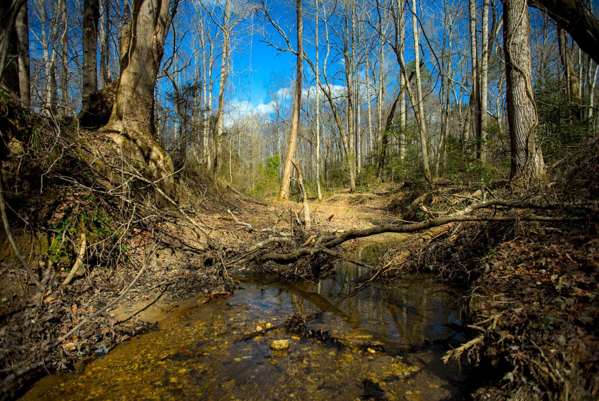 Small creek near our house photographed by luxagraf