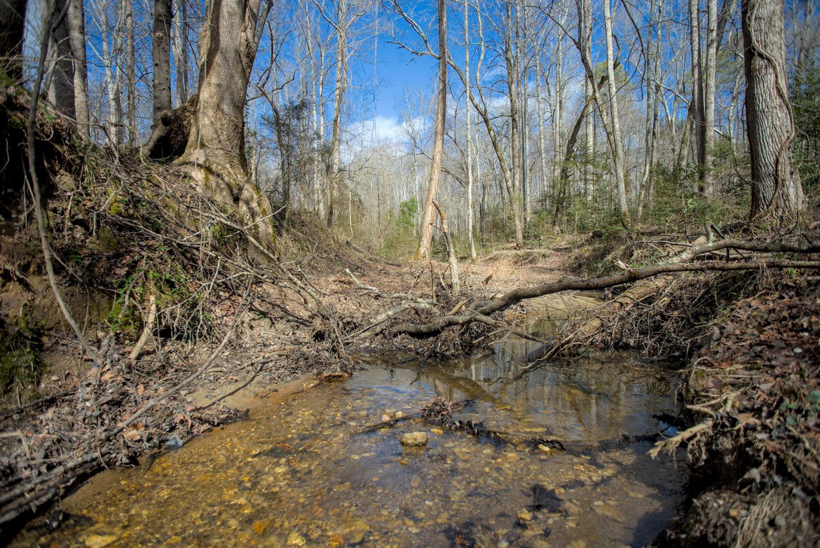 creek in the woods photographed by Scott Gilbertson