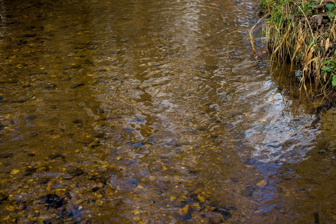 golden colored rocks in the creek photographed by luxagraf