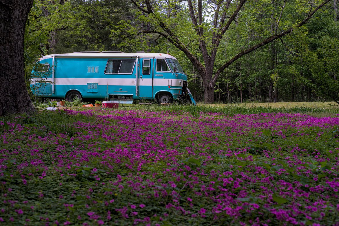 Travco and field of flowers by Scott Gilbertson