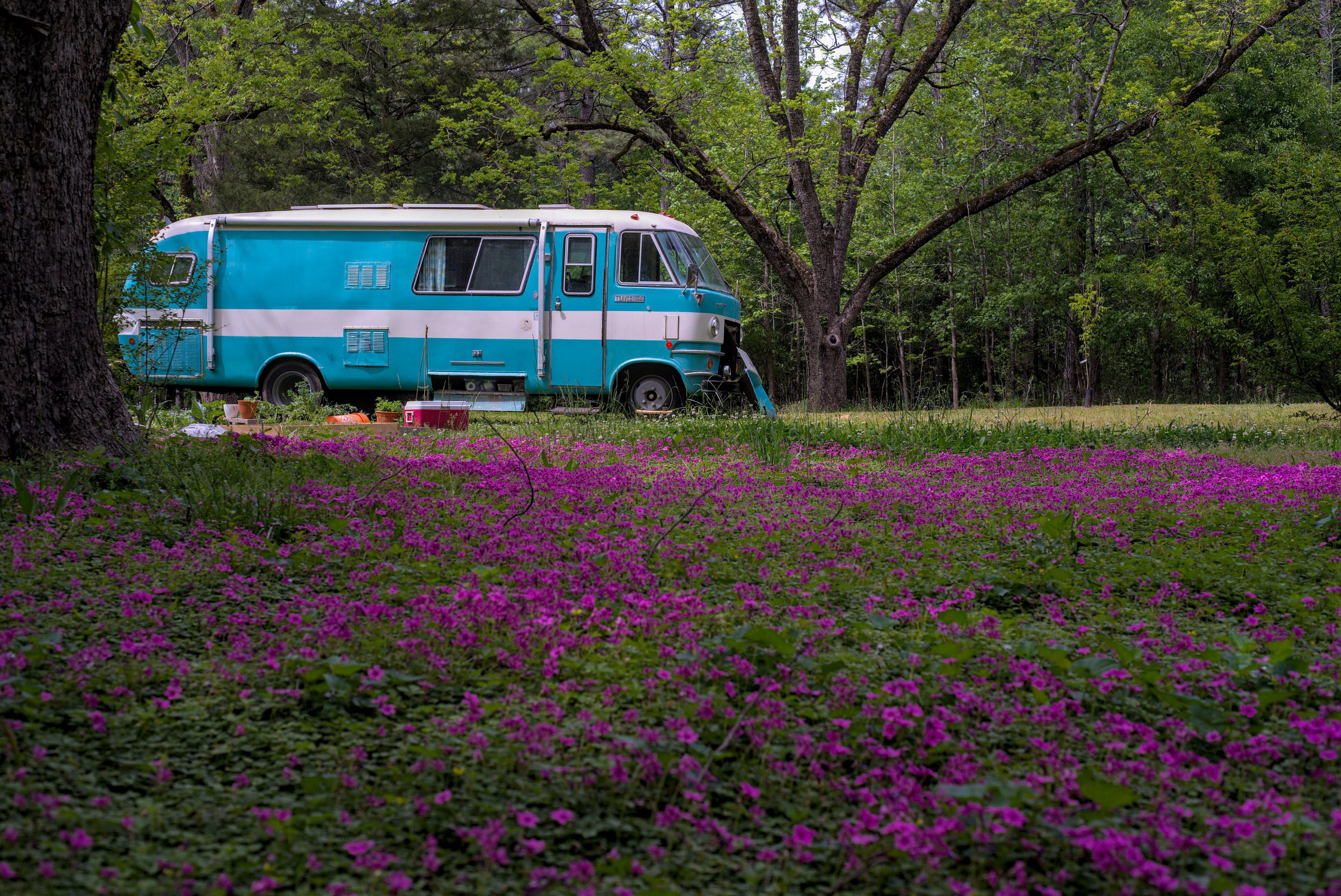 Travco and field of flowers photographed by luxagraf