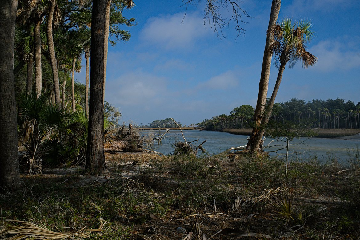 primorial forests, salt lagoon, hunting island, sc photographed by luxagraf