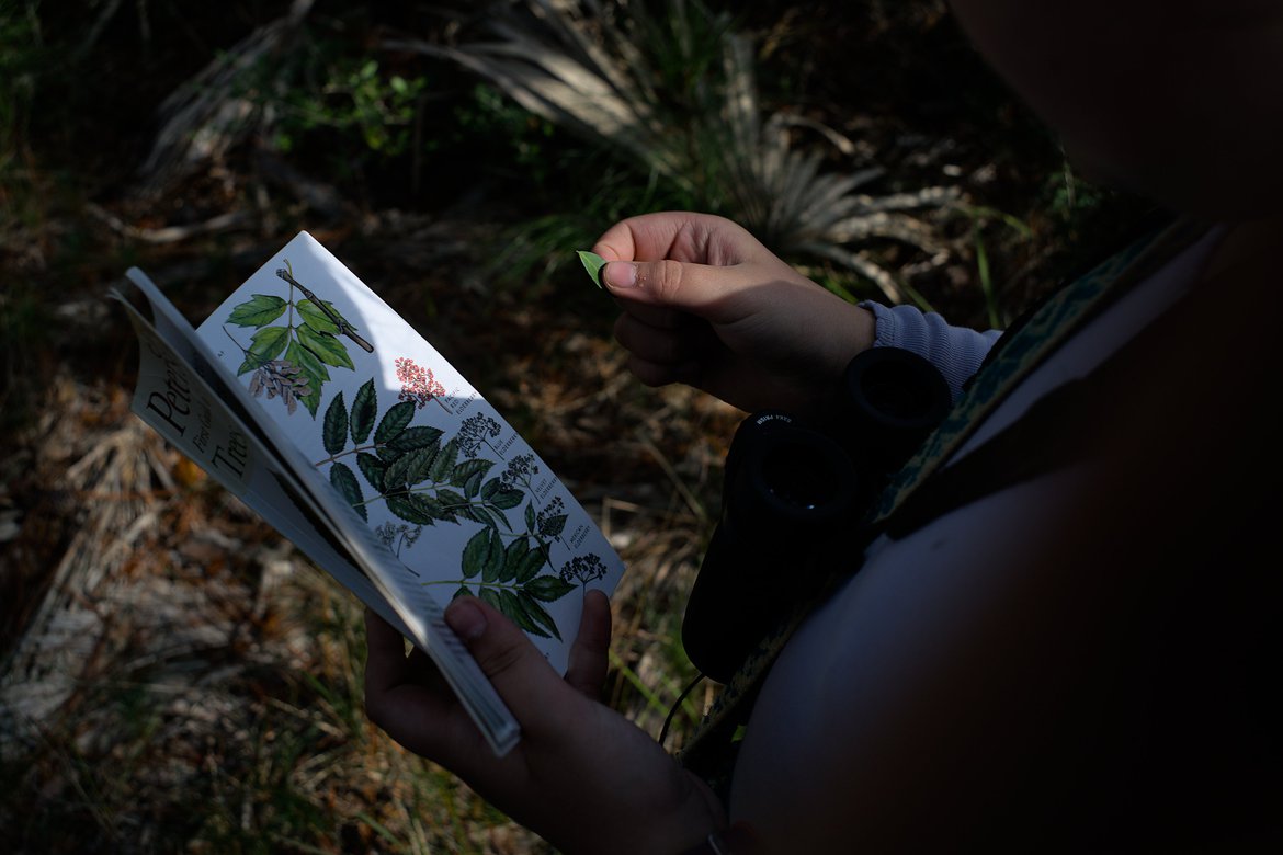 girl identifying plants with a guidebook photographed by luxagraf