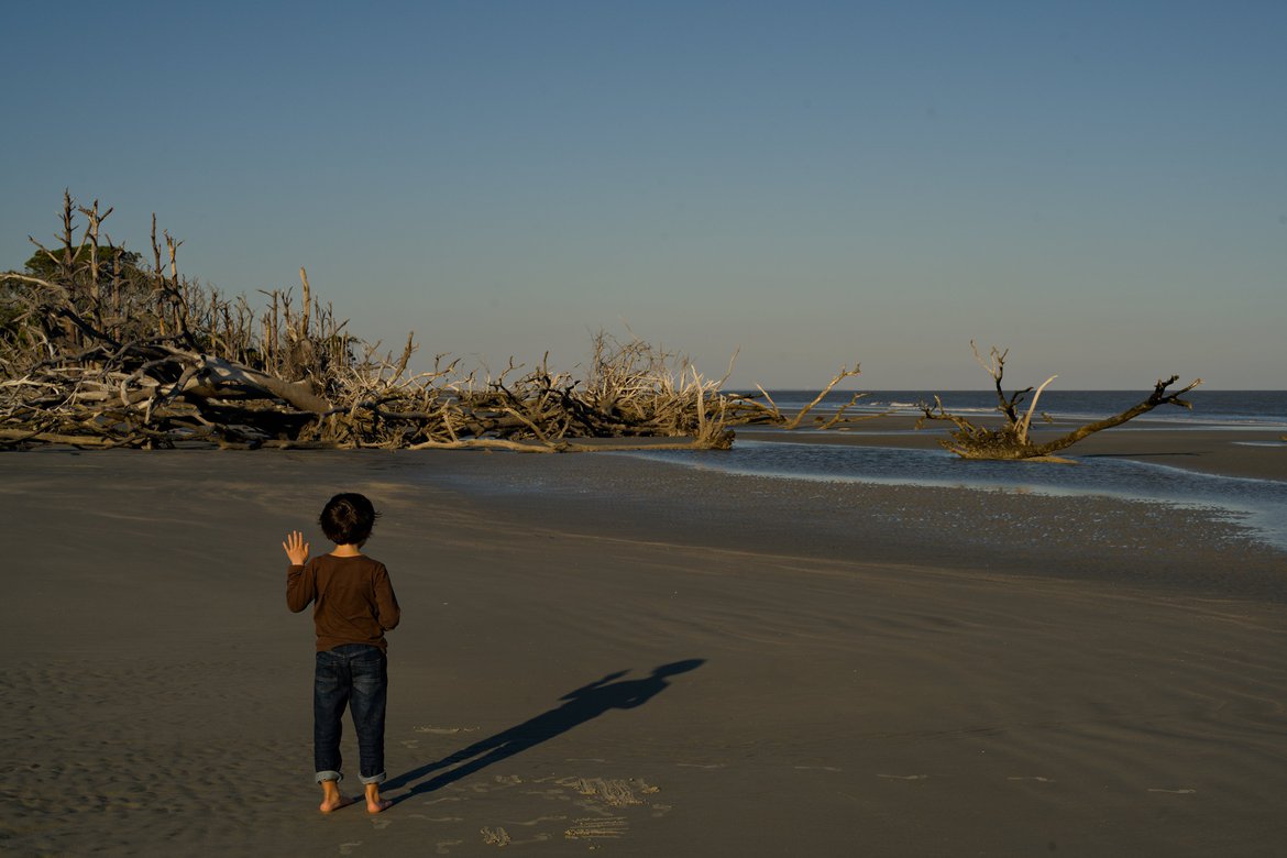 boy waving, shadow, boneyard trees, Hunting Island, SC photographed by luxagraf