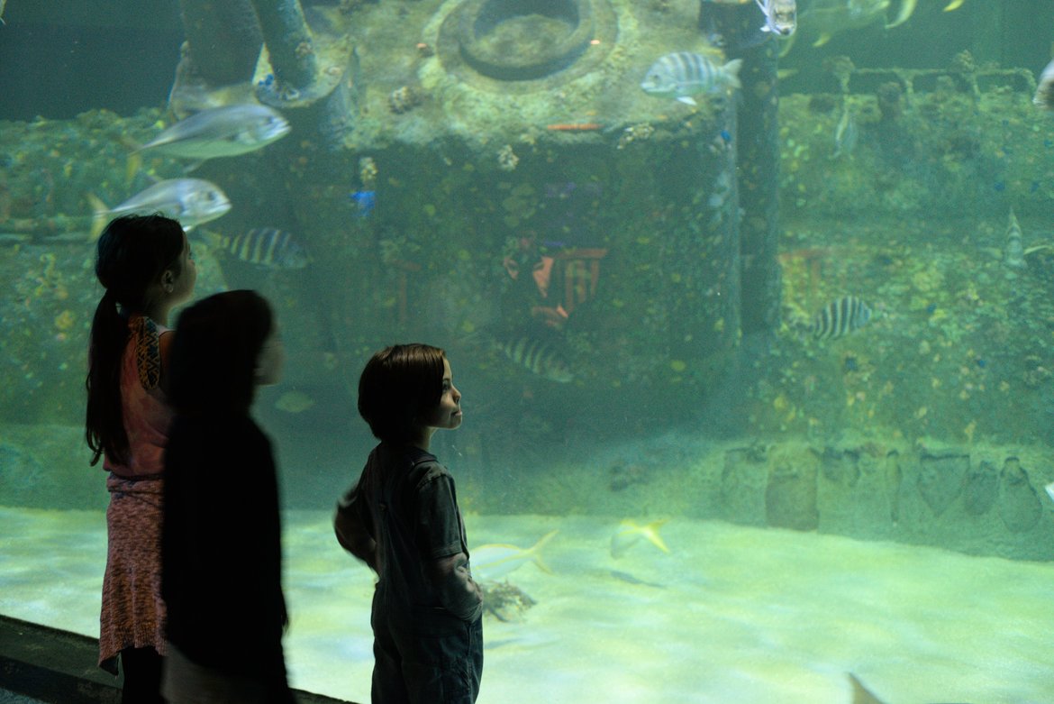 Children watching fish in a tank at Pine Knoll Shores aquarium, NC photographed by luxagraf