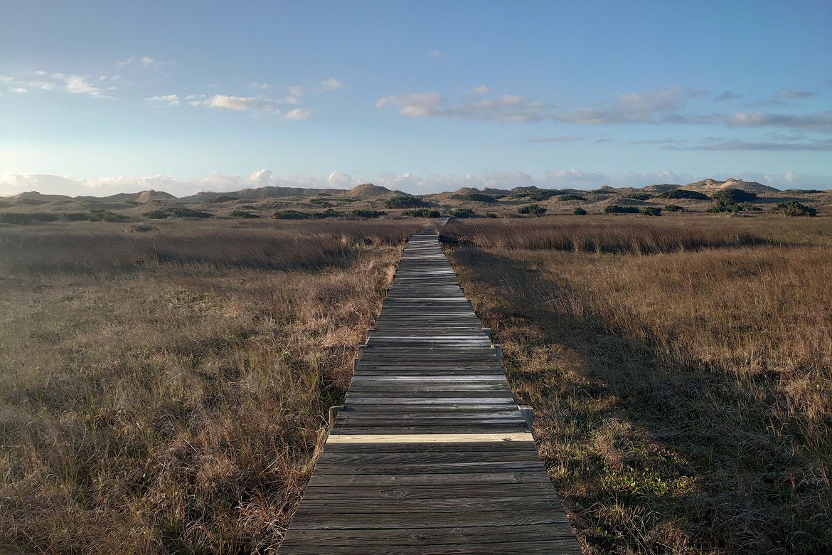 boardwalk to the beach, frisco campground, hatteras island, nc photographed by luxagraf