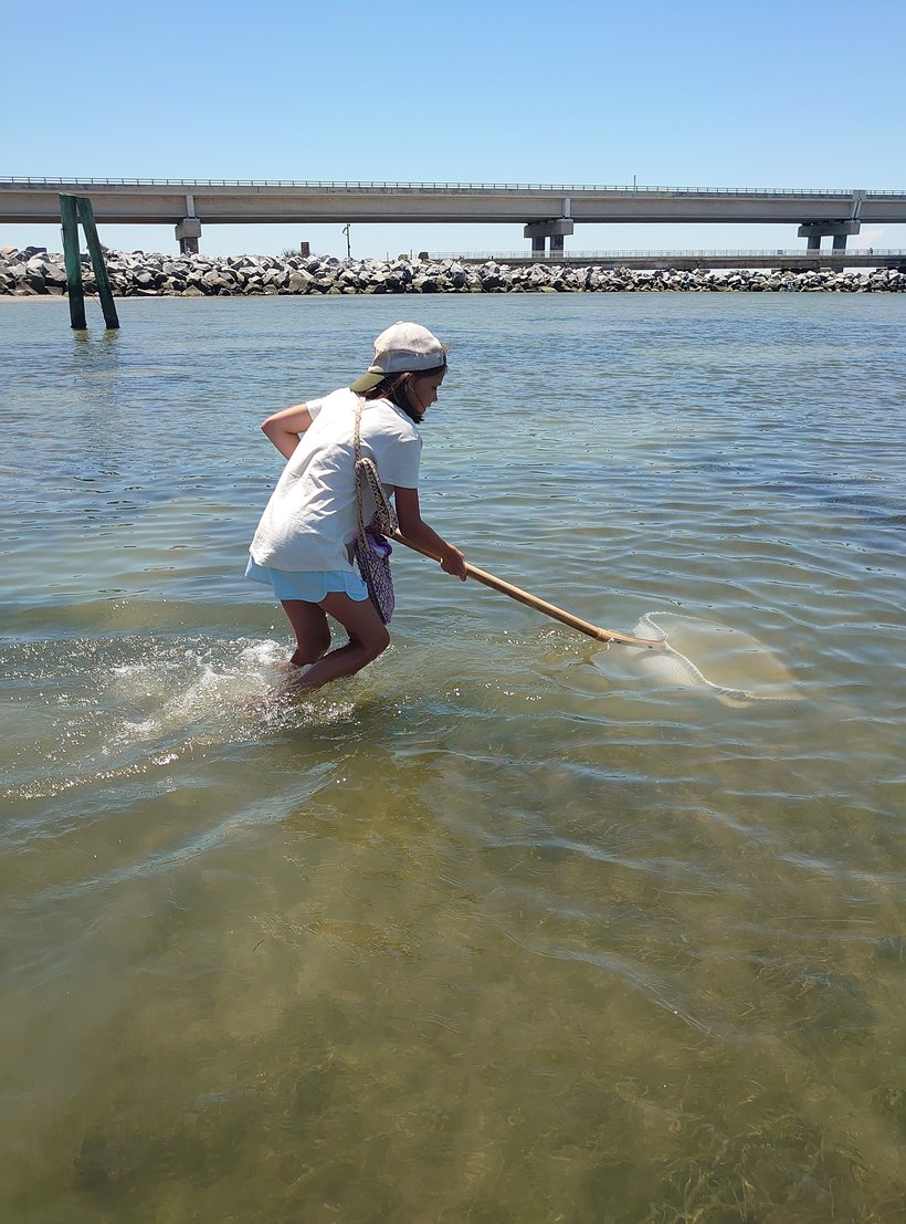 seining at oregon inlet photographed by luxagraf