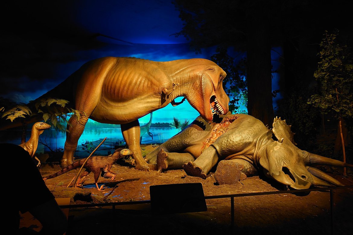 life size model of trex chowing on dinosaur guts photographed by luxagraf