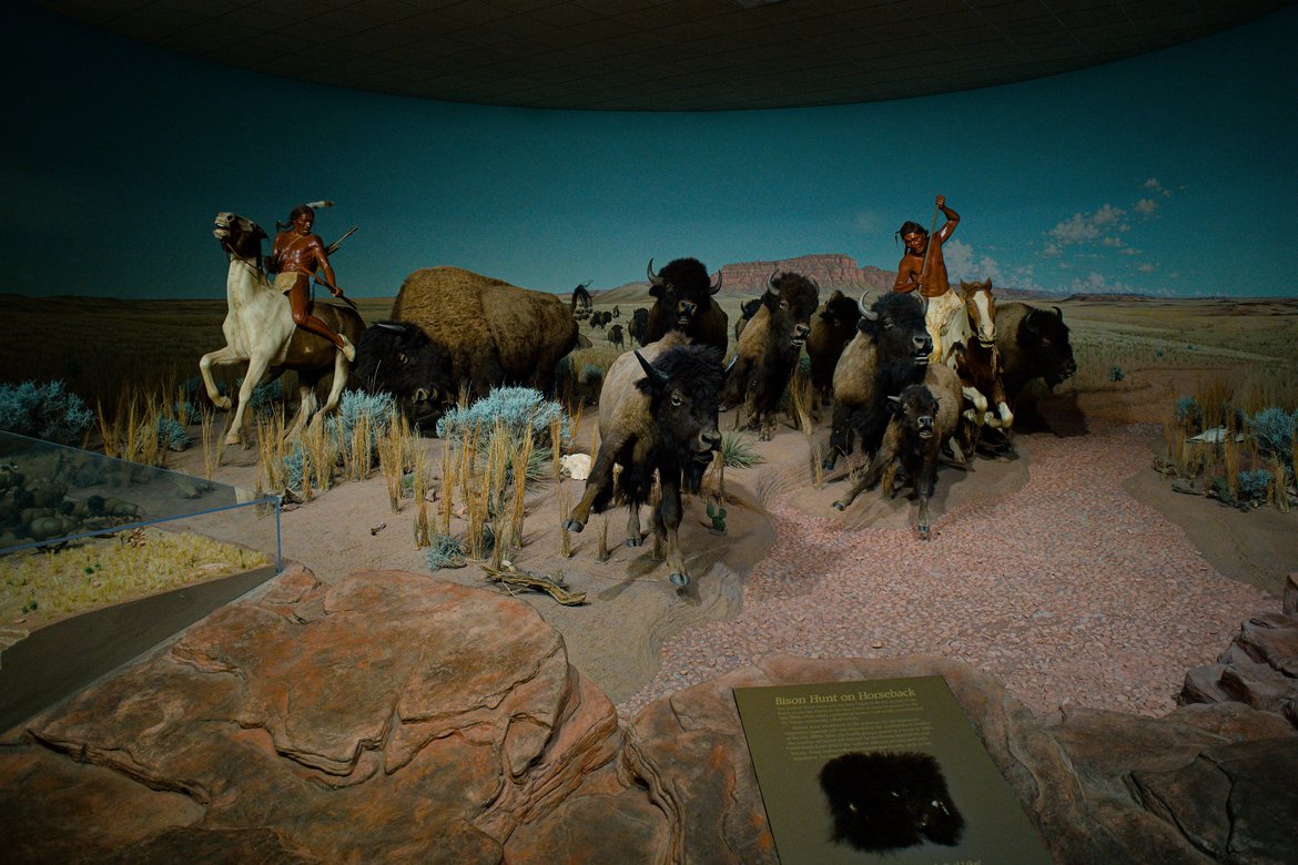 diarama of a buffalo hunt, milwaukee public museum photographed by luxagraf