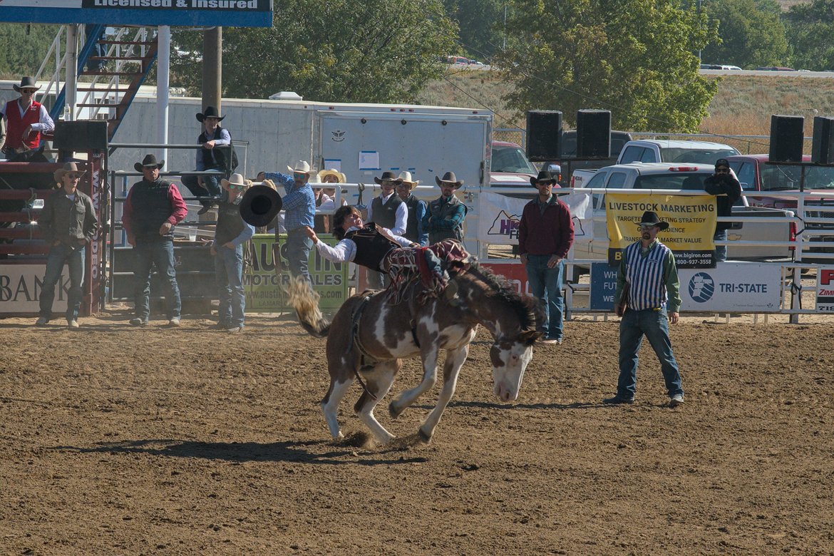 bareback bronco riding, lamar rodeo photographed by luxagraf